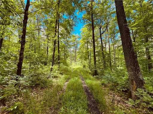 Birchwood, WI: 0 Breakneck Road