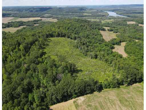 Pepin, WI: XXX Tulip Lane