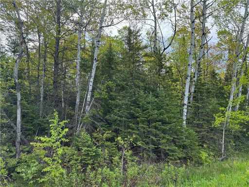 Port Wing, WI: 5.56 acres on Evergreen Road