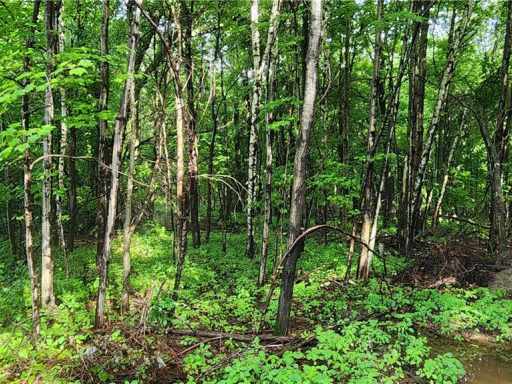 Elk Mound, WI: Lot 1 (10.64 Acres) County Road M 