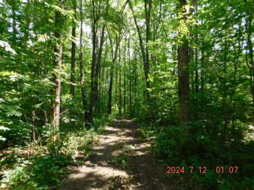 New Auburn, WI: Lot 1 County Highway F 