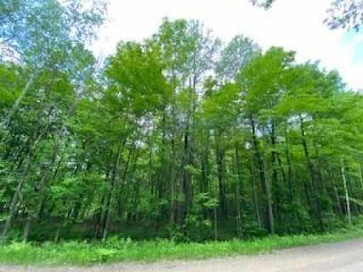 Birchwood, WI: Lot 3 Kerry Drive