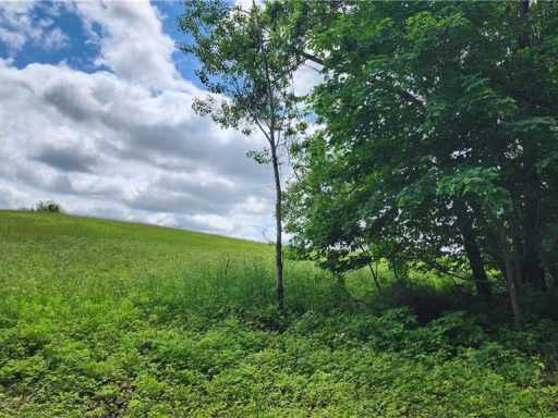 Boyceville, WI: Lot 10 270th Street