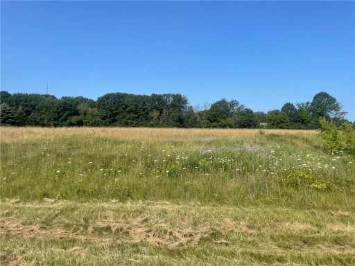 Menomonie, WI: Lot 1 513th Street